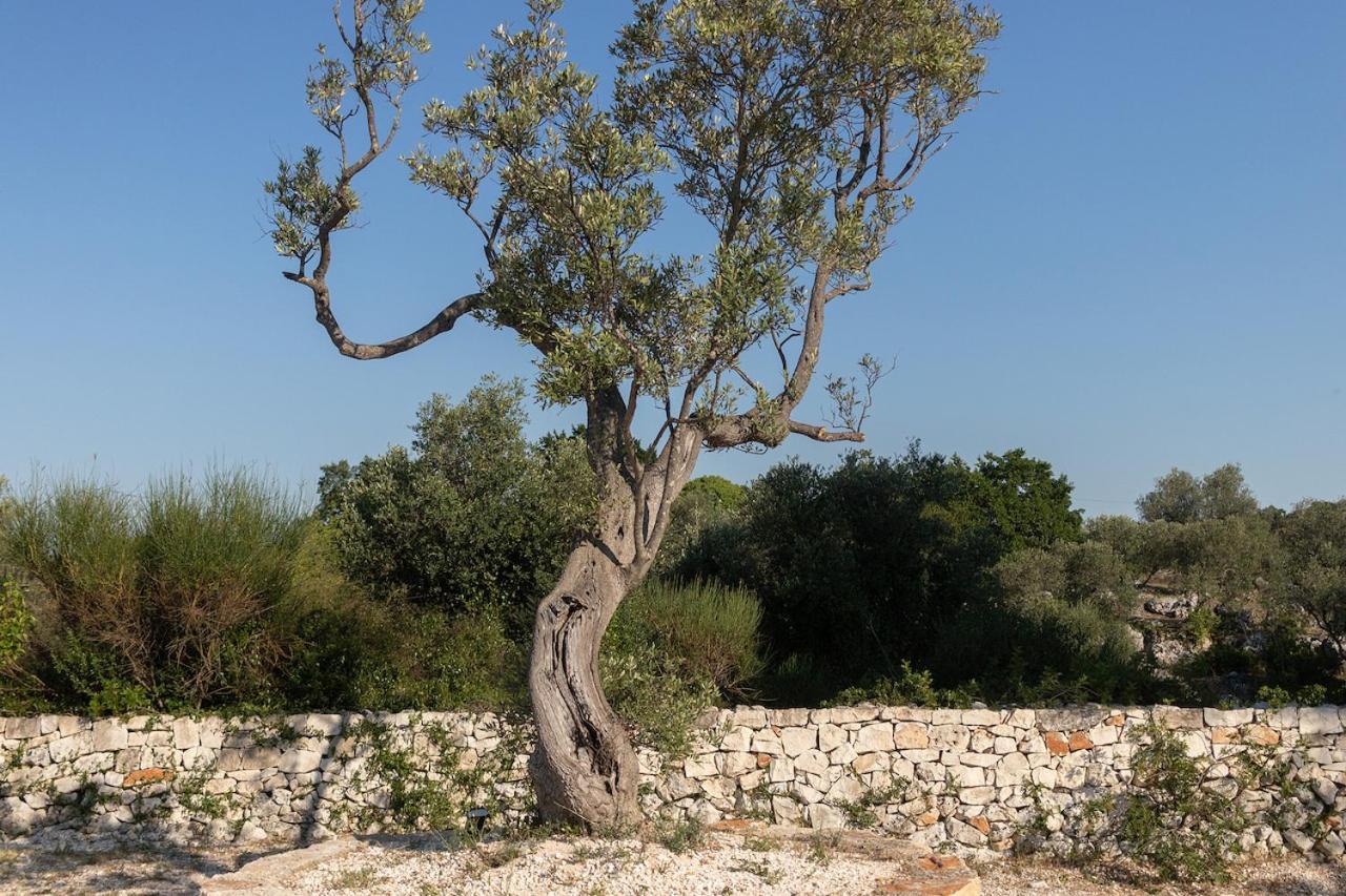 Trullo Carsico By Itriahomes Ceglie Messapica Bagian luar foto